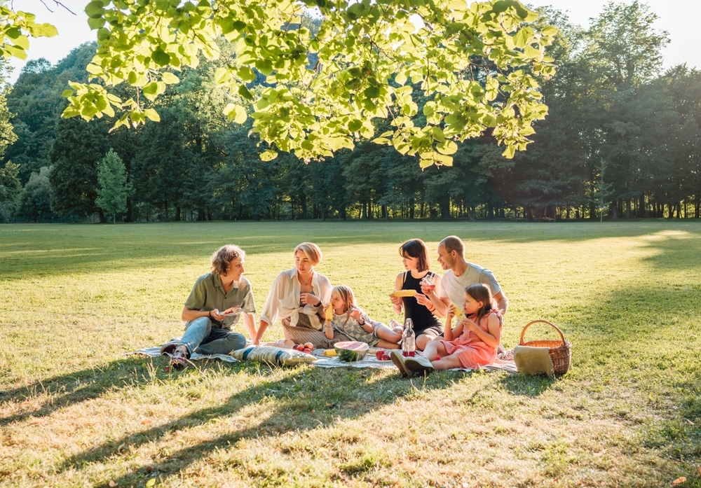 Experiencing Public Gardens and Parks: Tips for Making the Most of Your Visit