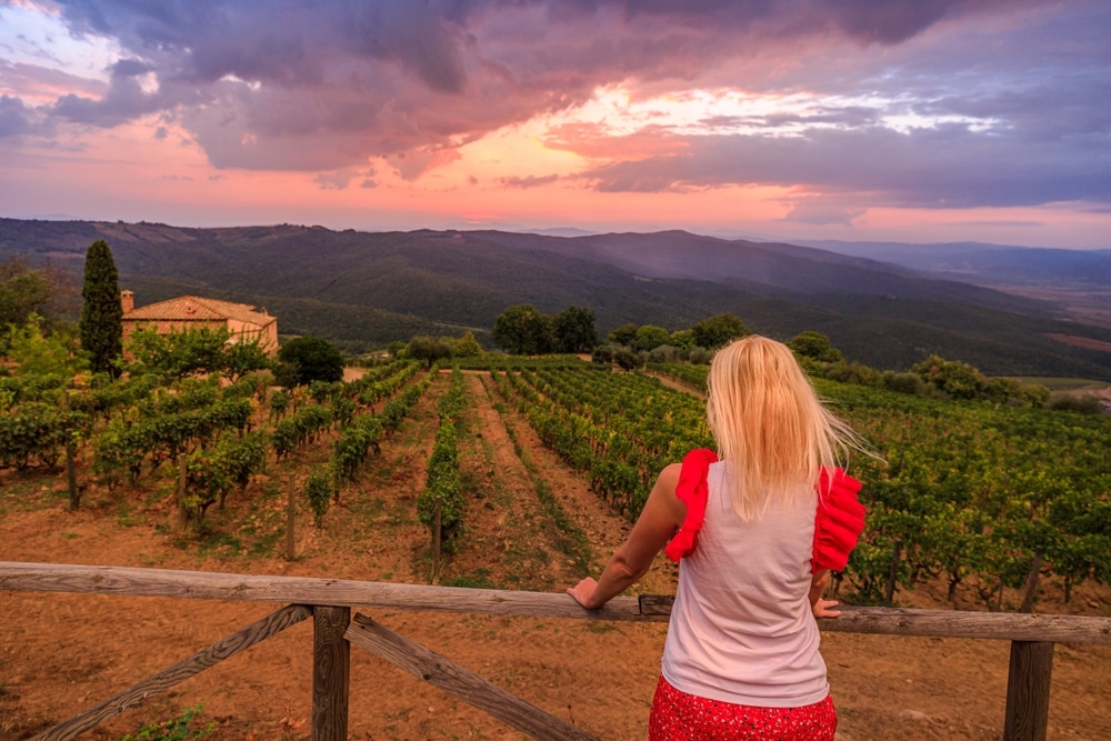 Exploring the Vineyards: A Journey Through Scenic Landscapes