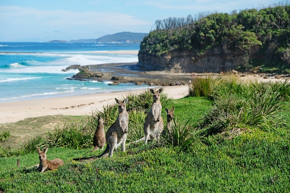 National Parks: Exploring Nature’s Masterpieces