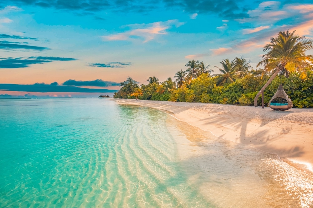 Preserving Coastal Environments: The Role of Conservation