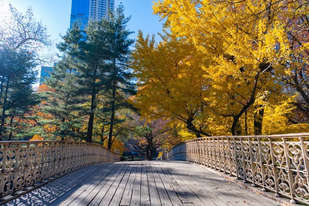 Public Gardens and Parks: Oases of Green in the Urban Jungle