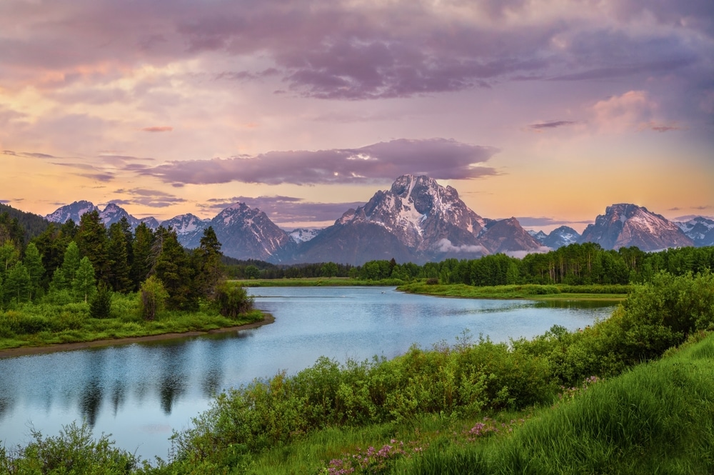 The Beauty and Diversity of National Parks