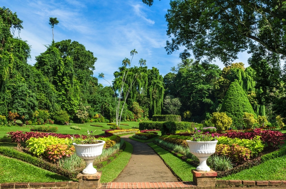 The Enduring Appeal of Public Gardens and Parks