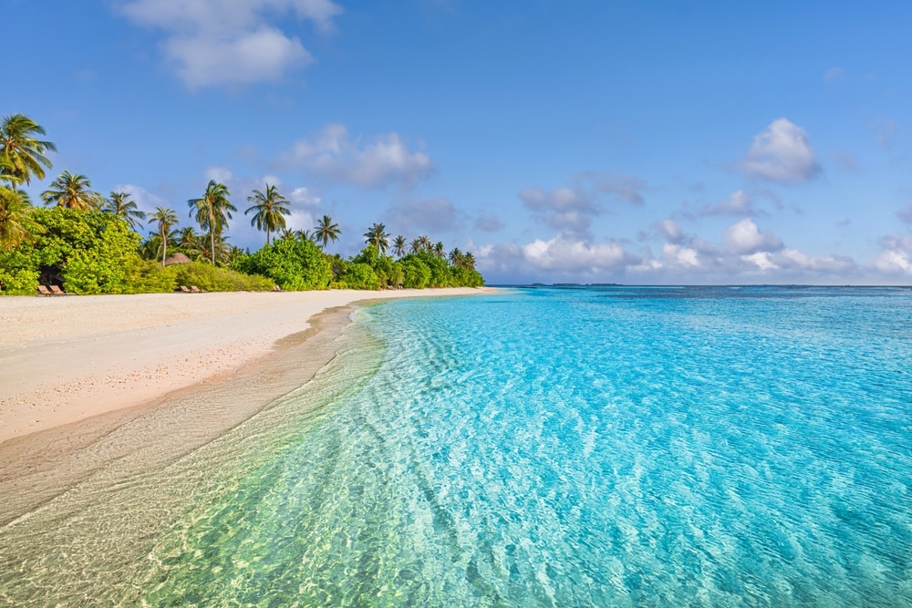 The Natural Beauty and Diversity of Beaches