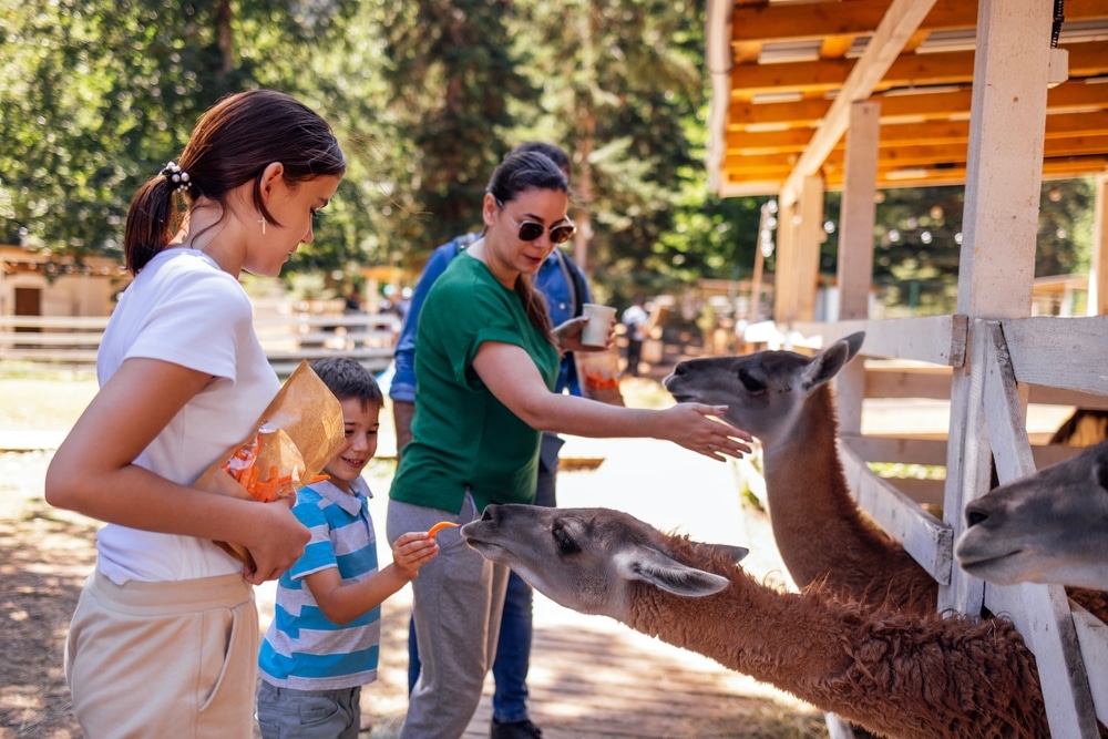 Zoos and Aquariums: Discovering the Wonders of the Animal Kingdom